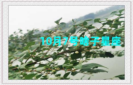 10月7号啥子星座