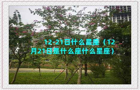 12-21日什么星座（12月21日是什么座什么星座）