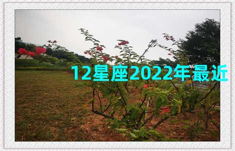 12星座2022年最近