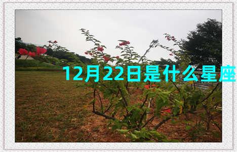 12月22日是什么星座