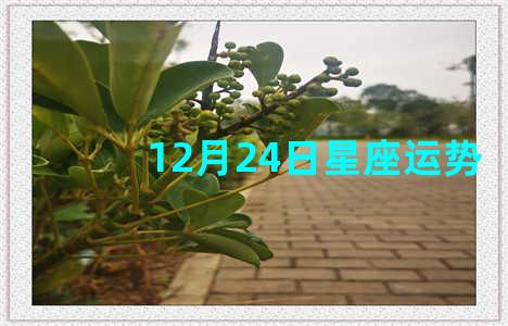 12月24日星座运势