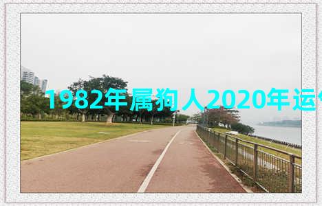 1982年属狗人2020年运气怎么样