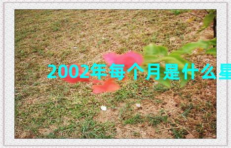 2002年每个月是什么星座