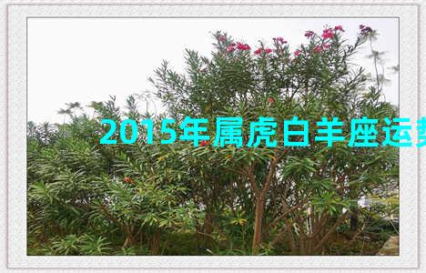 2015年属虎白羊座运势