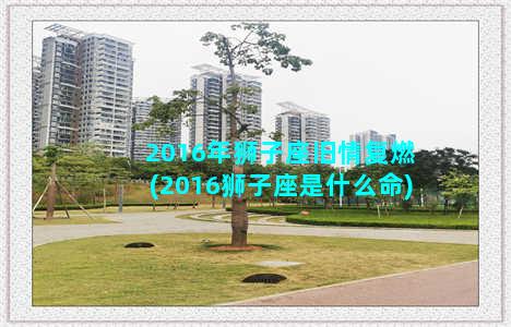 2016年狮子座旧情复燃(2016狮子座是什么命)