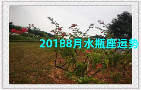 20188月水瓶座运势