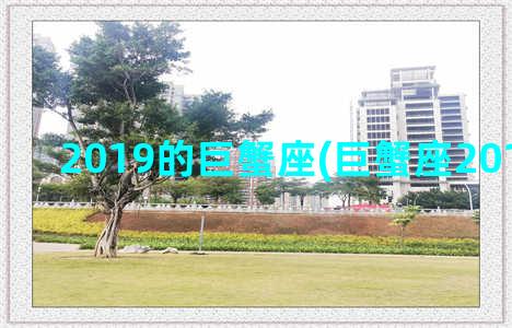 2019的巨蟹座(巨蟹座2019年运势)