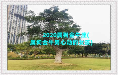 2020属狗金牛座(属狗金牛男心动的女孩)