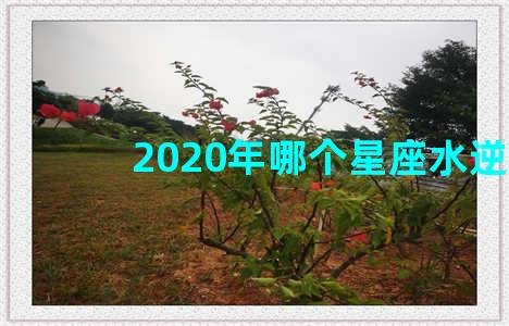 2020年哪个星座水逆