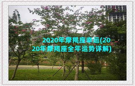 2020年摩羯座幸运(2020年摩羯座全年运势详解)