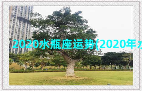 2020水瓶座运势(2020年水瓶座事业)