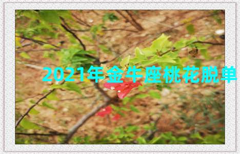 2021年金牛座桃花脱单时间