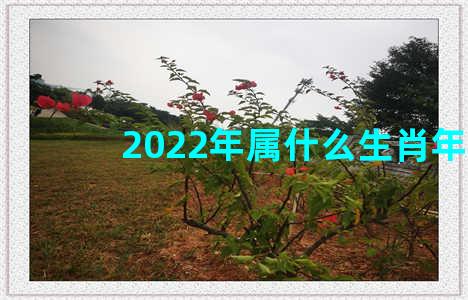 2022年属什么生肖年