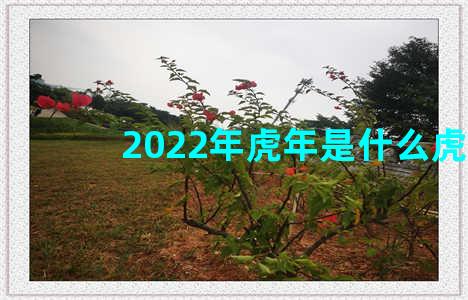 2022年虎年是什么虎