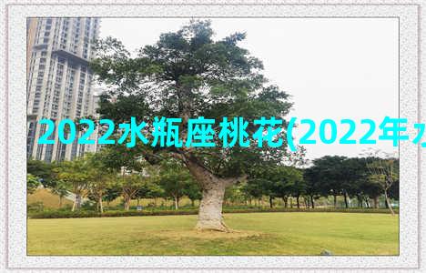 2022水瓶座桃花(2022年水瓶座运势)