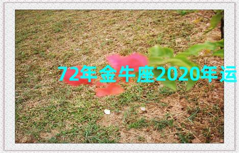 72年金牛座2020年运势