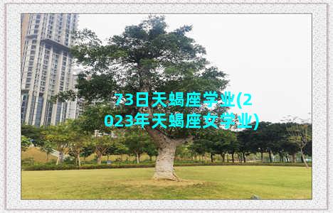 73日天蝎座学业(2023年天蝎座女学业)