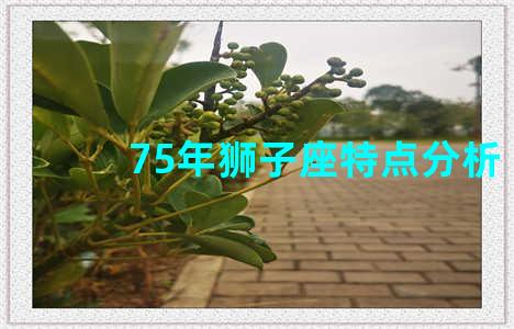 75年狮子座特点分析