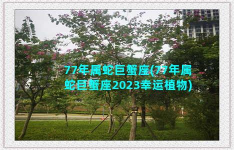 77年属蛇巨蟹座(77年属蛇巨蟹座2023幸运植物)