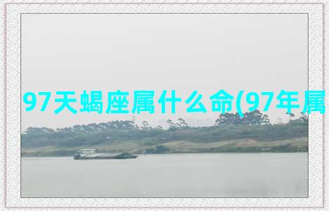 97天蝎座属什么命(97年属牛天蝎座)