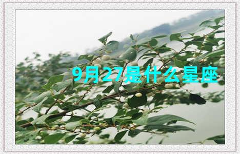 9月27是什么星座