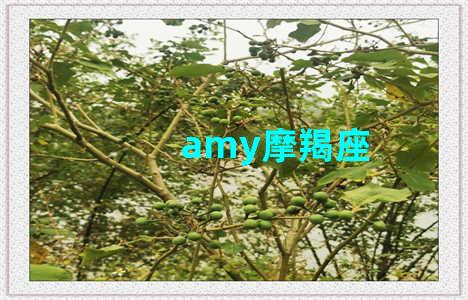 amy摩羯座