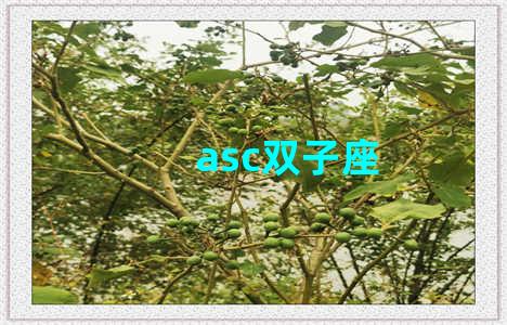 asc双子座