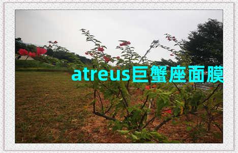 atreus巨蟹座面膜