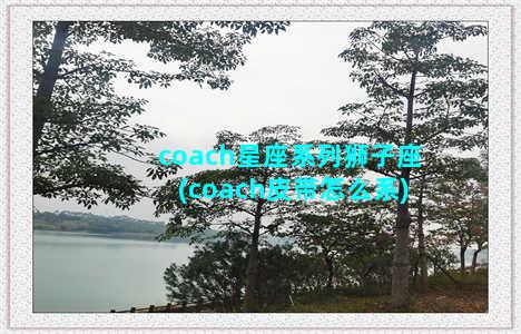 coach星座系列狮子座(coach皮带怎么系)