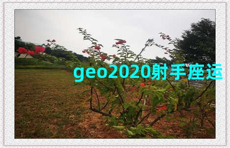 geo2020射手座运