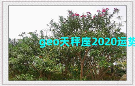 geo天秤座2020运势