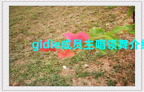 gidle成员主唱领舞介绍