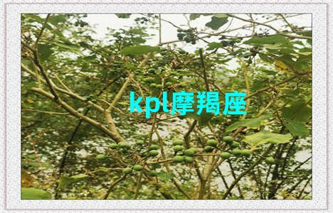 kpl摩羯座