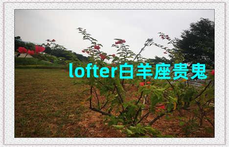 lofter白羊座贵鬼