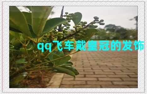 qq飞车戴皇冠的发饰