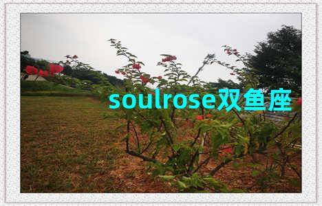 soulrose双鱼座