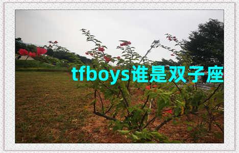 tfboys谁是双子座