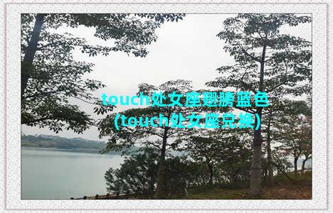 touch处女座翅膀蓝色(touch处女座兑换)