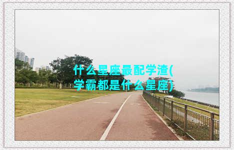 什么星座最配学渣(学霸都是什么星座)