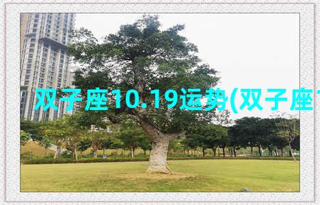 双子座10.19运势(双子座10.8运势)