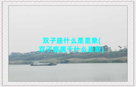 双子座什么是星象(双子座属于什么星象)