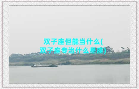 双子座但能当什么(双子座专治什么星座)