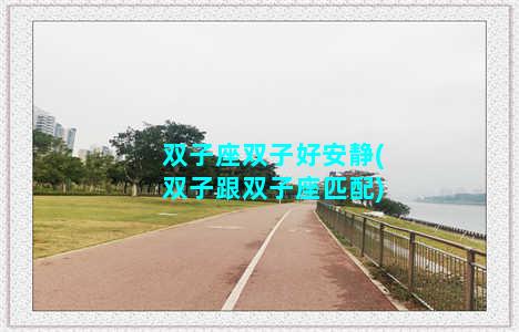 双子座双子好安静(双子跟双子座匹配)