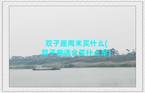 双子座周末买什么(双子座适合买什么车)