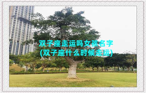 双子座走运吗女孩名字(双子座什么时候走运)