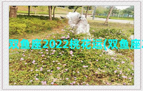 双鱼座2022桃花运(双鱼座2022桃花月)