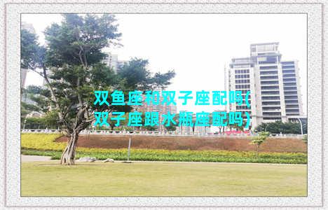 双鱼座和双子座配吗(双子座跟水瓶座配吗)