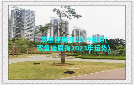 双鱼座属狗2019运势(双鱼座属狗2023年运势)