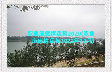 双鱼座感情运势2020(双鱼座感情运势2022年12月)