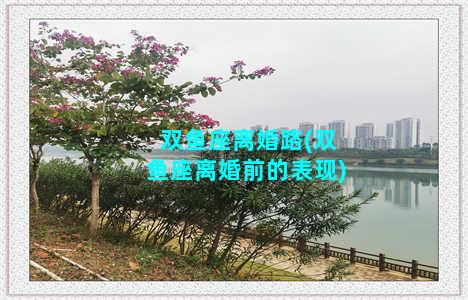 双鱼座离婚路(双鱼座离婚前的表现)